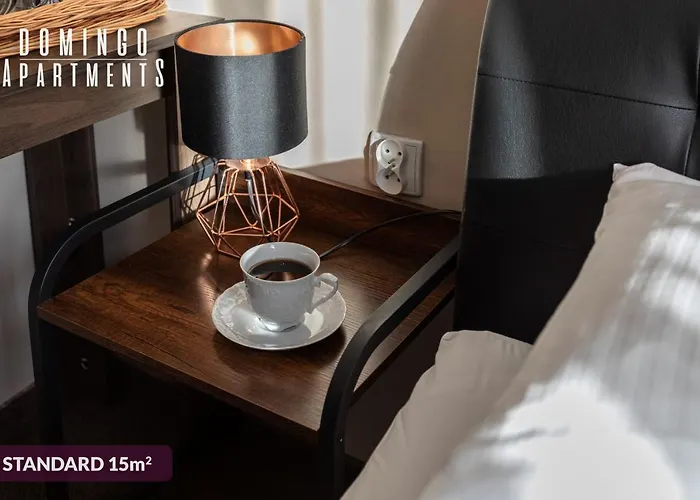 Domingo Elegant Old Town アパートホテル